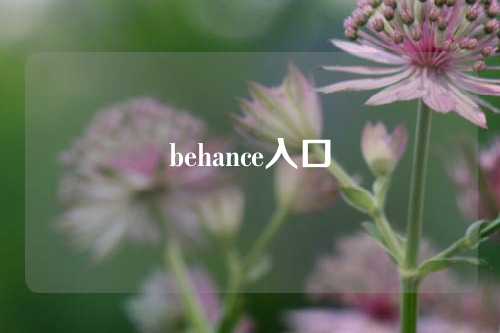 behance入口