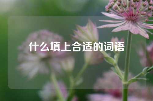 什么填上合适的词语