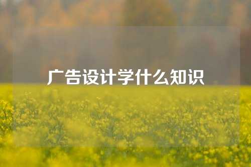 广告设计学什么知识