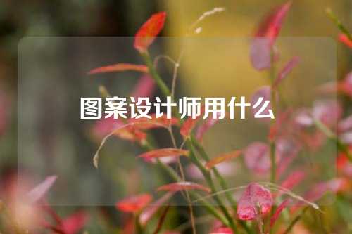 图案设计师用什么