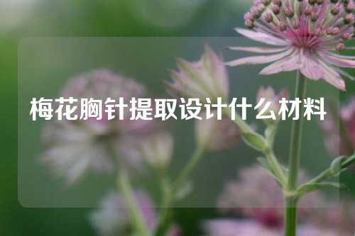 梅花胸针提取设计什么材料