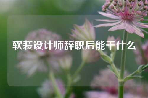 软装设计师辞职后能干什么