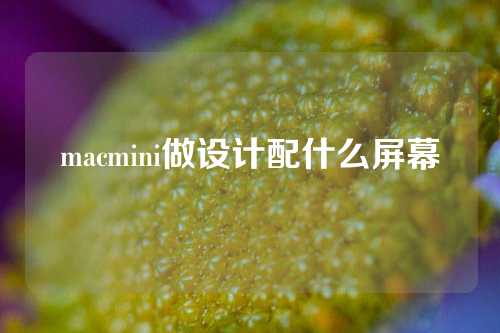 macmini做设计配什么屏幕