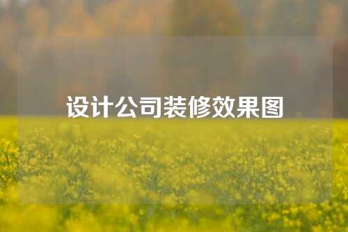 设计公司装修效果图