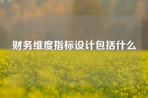 财务维度指标设计包括什么