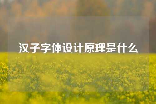 汉子字体设计原理是什么