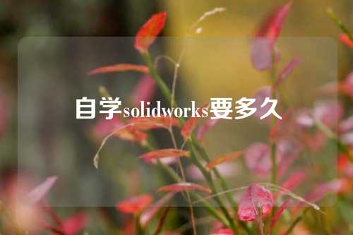 自学solidworks要多久