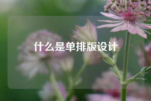 什么是单排版设计