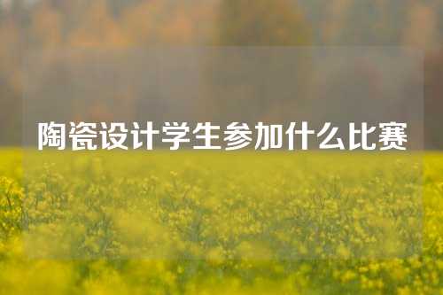 陶瓷设计学生参加什么比赛