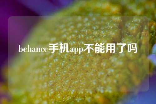 behance手机app不能用了吗