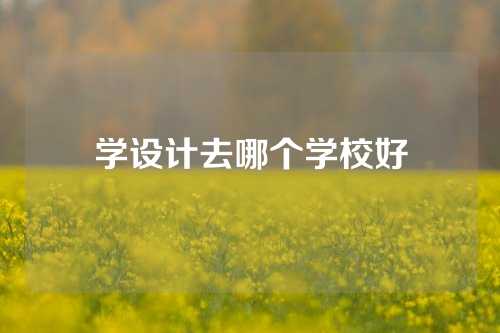 学设计去哪个学校好