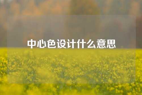 中心色设计什么意思