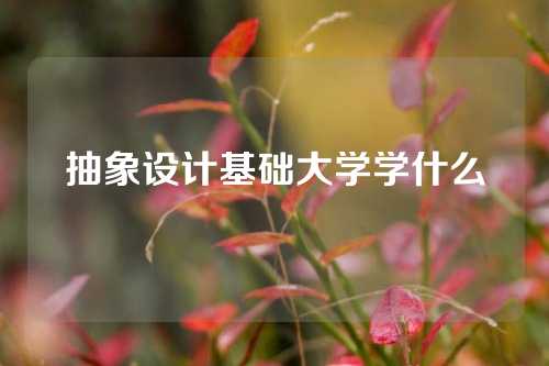 抽象设计基础大学学什么