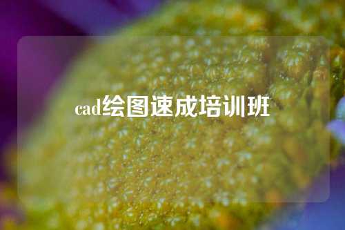 cad绘图速成培训班