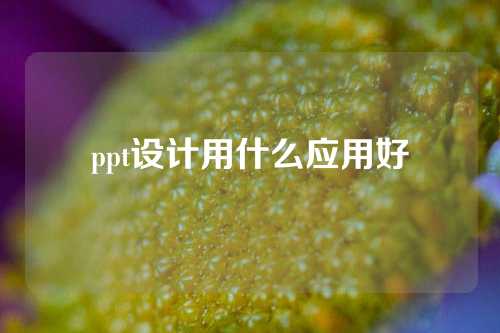 ppt设计用什么应用好