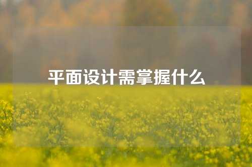 平面设计需掌握什么