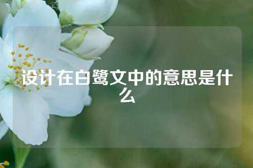 设计在白鹭文中的意思是什么