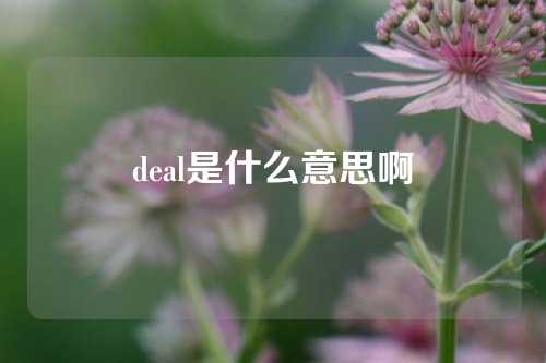 deal是什么意思啊