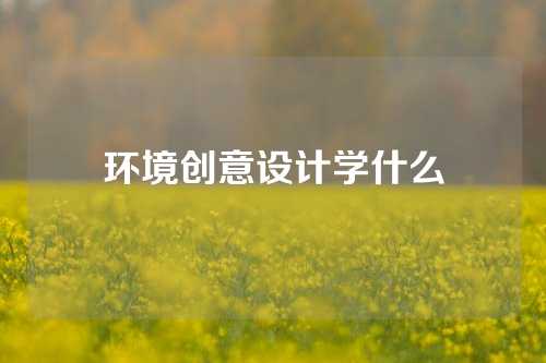 环境创意设计学什么