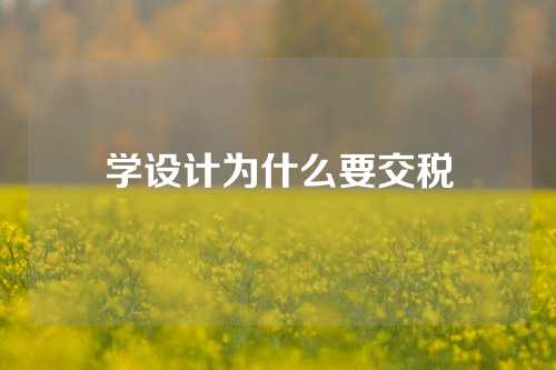 学设计为什么要交税