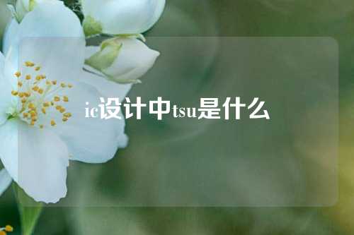 ic设计中tsu是什么