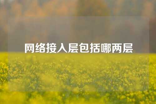 网络接入层包括哪两层