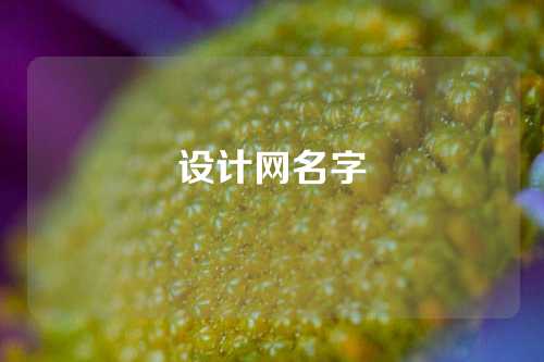 设计网名字