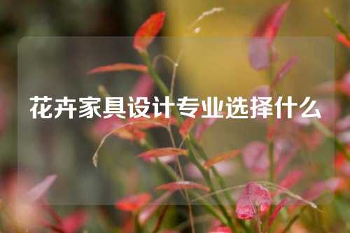 花卉家具设计专业选择什么