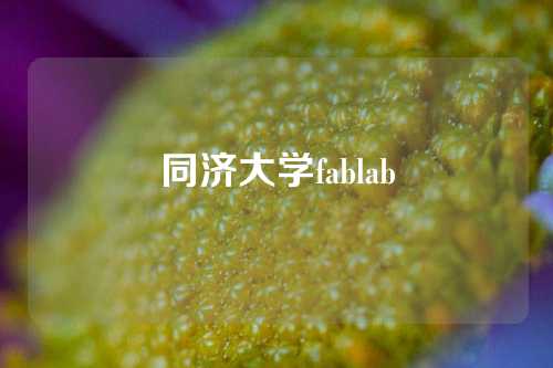 同济大学fablab