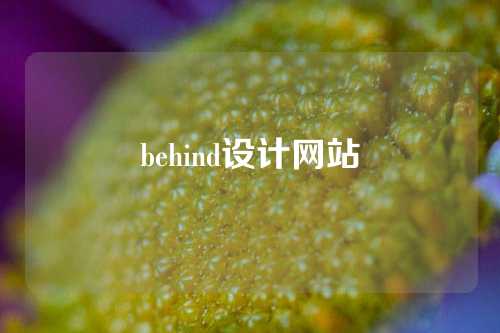 behind设计网站