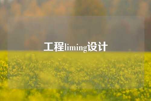 工程liming设计