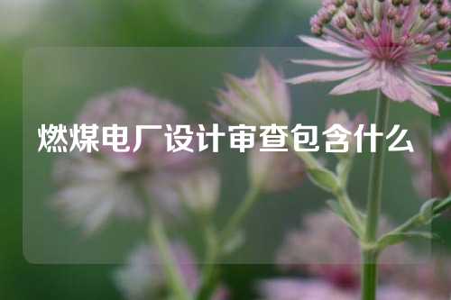 燃煤电厂设计审查包含什么