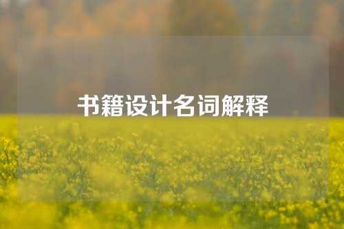 书籍设计名词解释