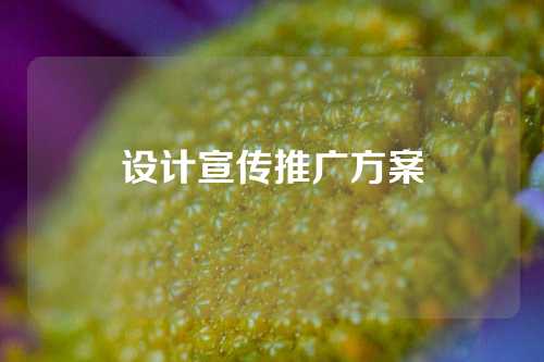 设计宣传推广方案