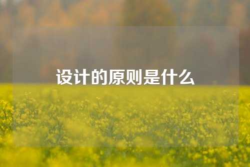 设计的原则是什么