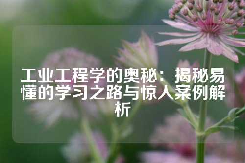 工业工程学的奥秘：揭秘易懂的学习之路与惊人案例解析