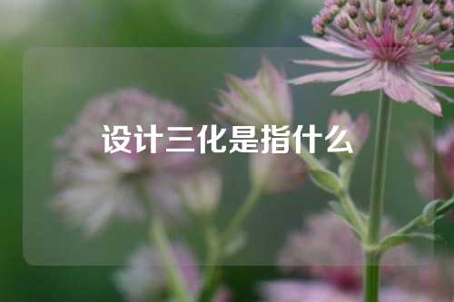 设计三化是指什么