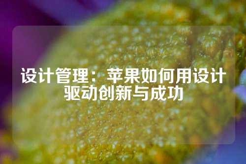 设计管理：苹果如何用设计驱动创新与成功