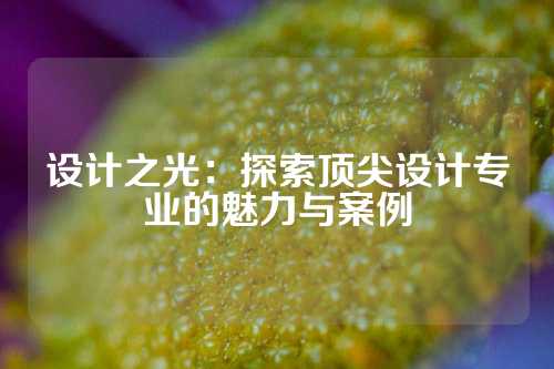 设计之光：探索顶尖设计专业的魅力与案例