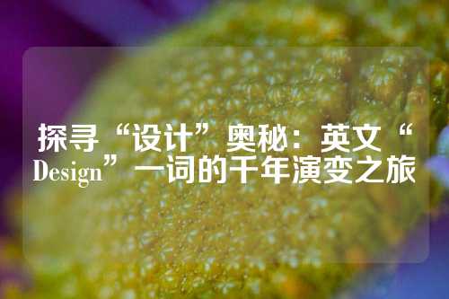 探寻“设计”奥秘：英文“Design”一词的千年演变之旅