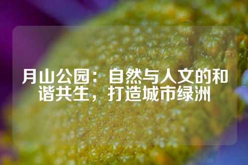 月山公园：自然与人文的和谐共生，打造城市绿洲