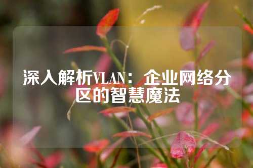 深入解析VLAN：企业网络分区的智慧魔法