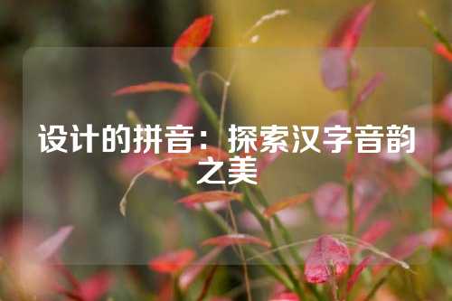 设计的拼音：探索汉字音韵之美