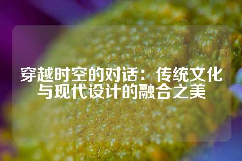 穿越时空的对话：传统文化与现代设计的融合之美