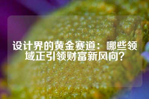 设计界的黄金赛道：哪些领域正引领财富新风向？