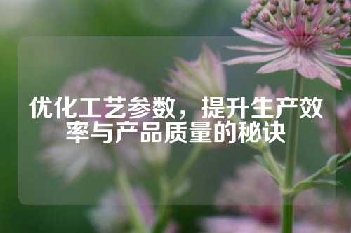 优化工艺参数，提升生产效率与产品质量的秘诀