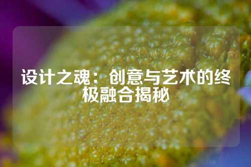 设计之魂：创意与艺术的终极融合揭秘