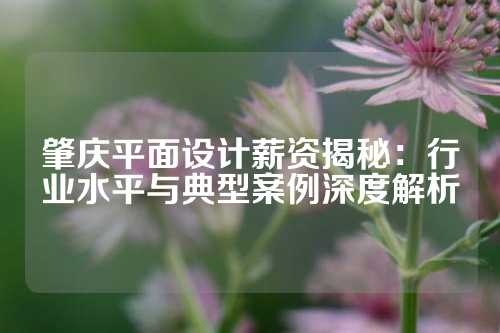 肇庆平面设计薪资揭秘：行业水平与典型案例深度解析